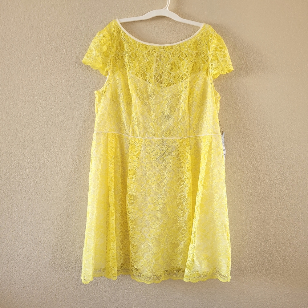 NWT ABS Allen Schwartz Yellow Lace Dress Size 22W